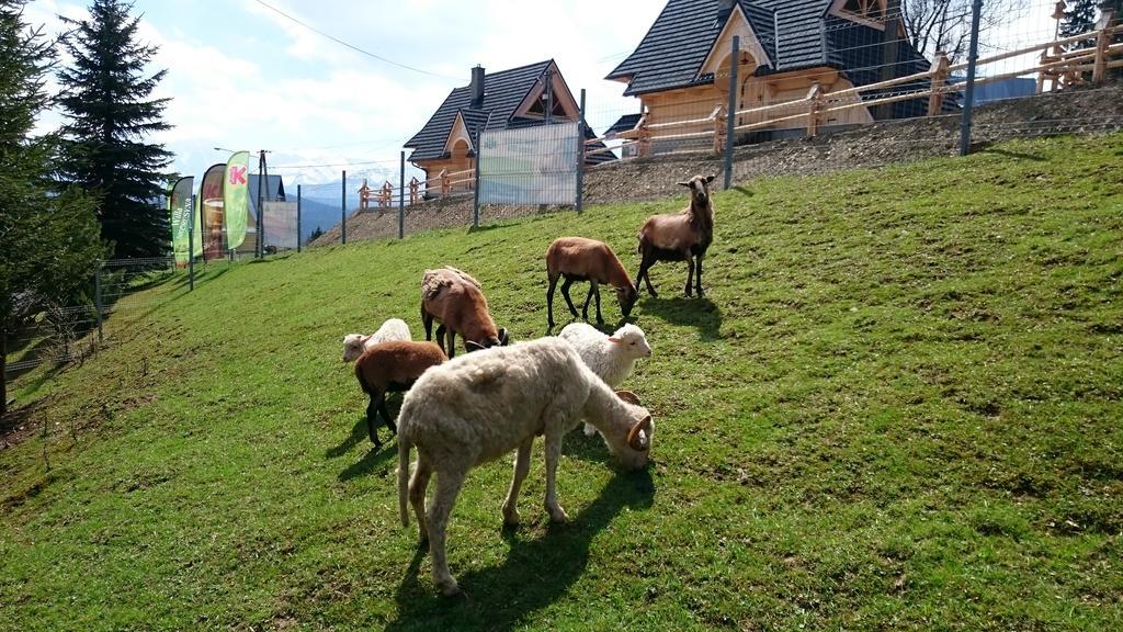 Willa Skorusyna Gliczarów Esterno foto