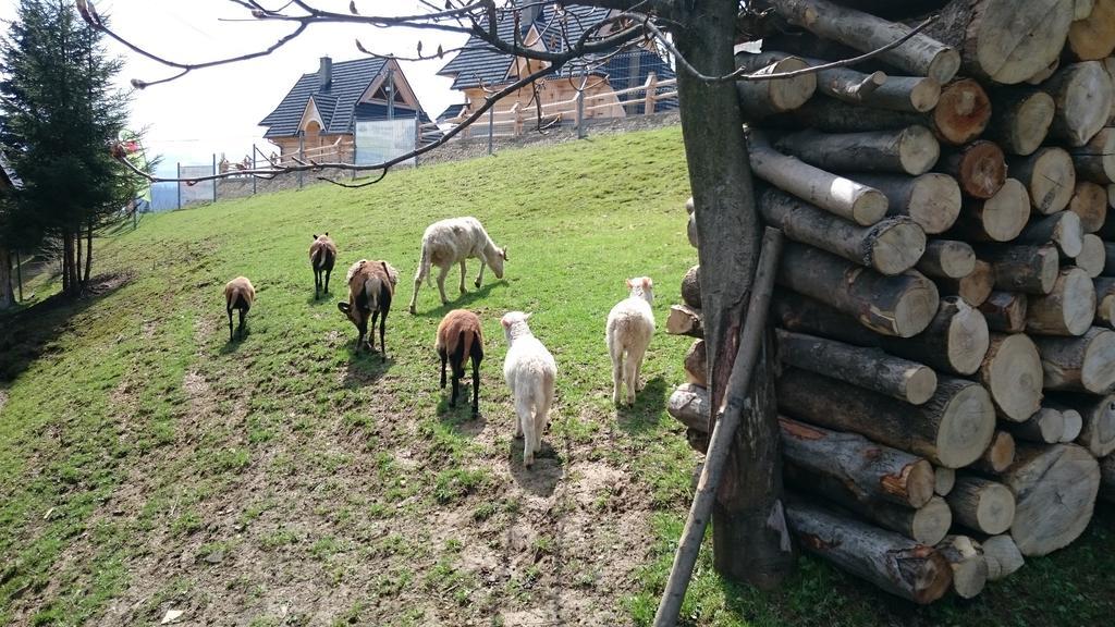 Willa Skorusyna Gliczarów Esterno foto