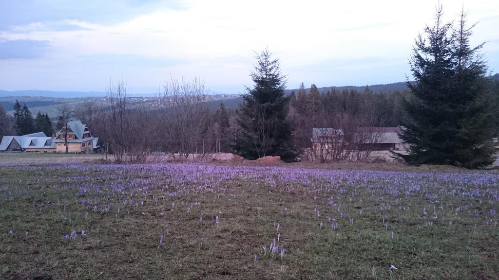 Willa Skorusyna Gliczarów Esterno foto